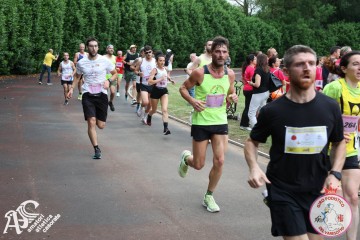 IMG_4126.jpg