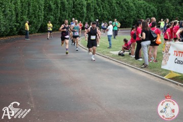IMG_4142.jpg