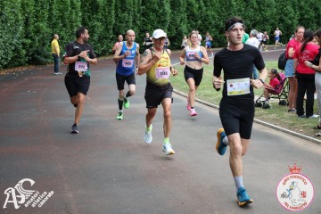 IMG_4169.jpg