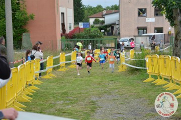 DSC_9465.jpg