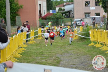 DSC_9466.jpg
