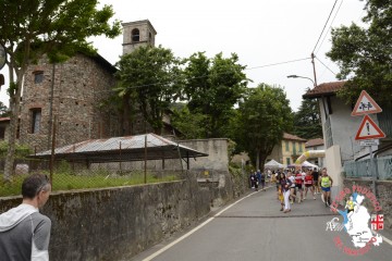 _DSC0700.JPG