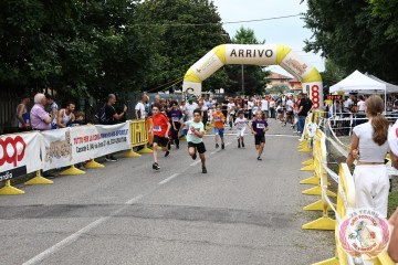 IMG_6401.jpg