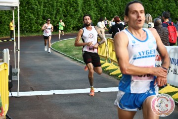 IMG_1987.jpg