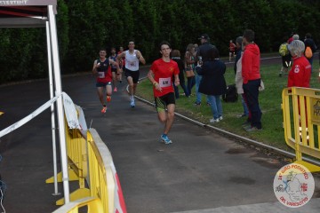 DSC_1914.jpg