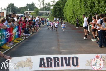IMG_3161.jpg