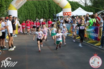 IMG_3218.jpg