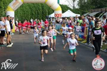 IMG_3220.jpg