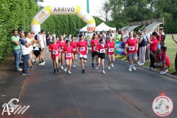 IMG_3229.jpg