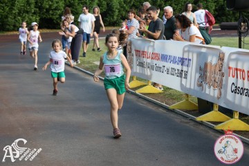 IMG_3252.jpg