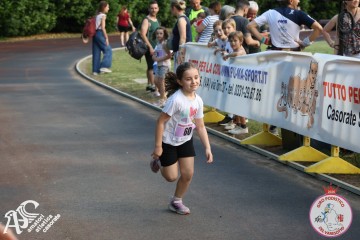 IMG_3264.jpg
