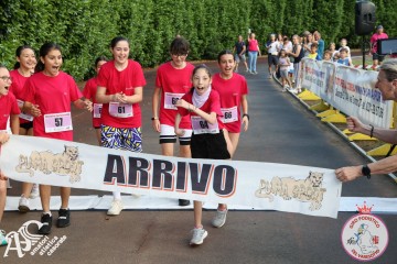 IMG_3272.jpg