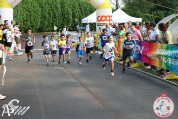 IMG_3297.jpg