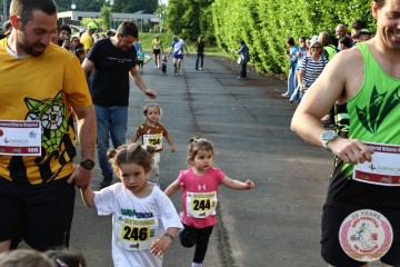 IMG_1433.jpg