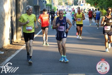 IMG_1446.jpg