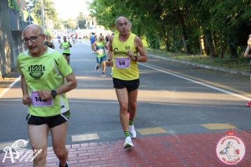 IMG_1449.jpg
