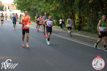 IMG_1568.jpg