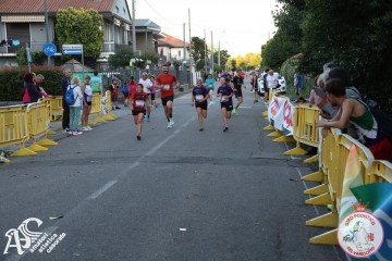IMG_8282.jpg