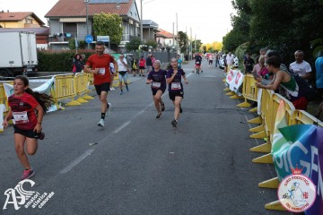 IMG_8284.jpg