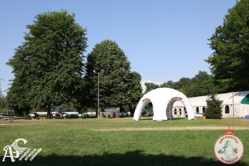 IMG_3109.jpg