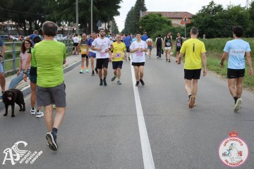 IMG_3336.jpg