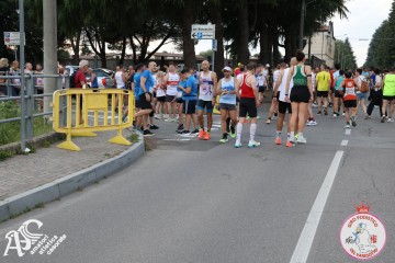 IMG_3341.jpg