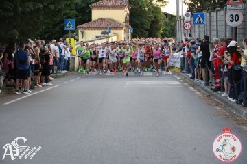 IMG_1642.jpg