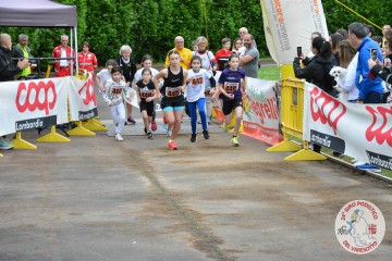 DSC_1313.jpg
