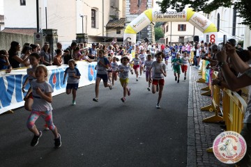 IMG_4737.jpg