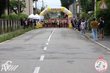 IMG_5362.jpg