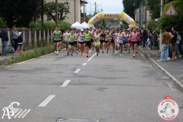 IMG_5377.jpg
