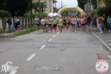 IMG_5378.jpg