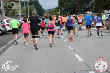 IMG_5550.jpg