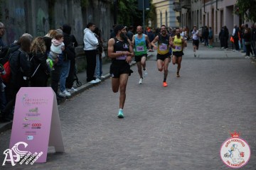 IMG_0516.jpg