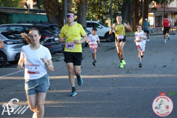 IMG_6864.jpg