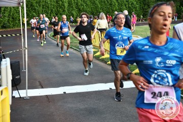 IMG_2342.jpg
