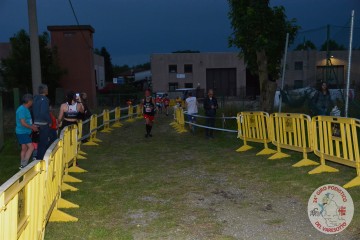 DSC_0232.jpg