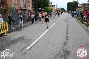 IMG_6084.jpg