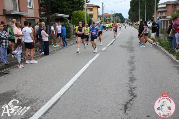 IMG_6140.jpg