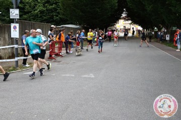 IMG_5264.jpg