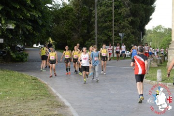_DSC1987.jpg