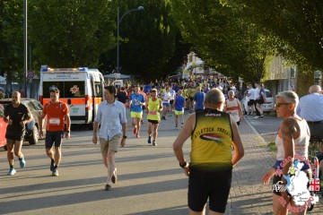 _DSC2008.jpg
