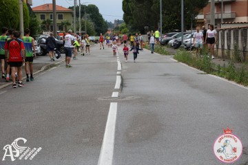 IMG_4882.jpg