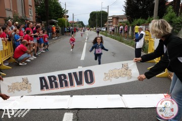 IMG_4890.jpg
