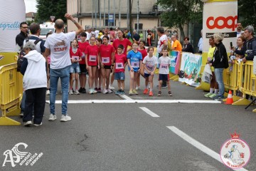 IMG_4915.jpg