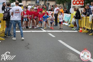 IMG_4916.jpg