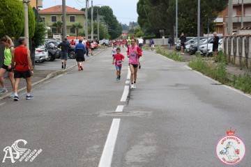 IMG_4953.jpg