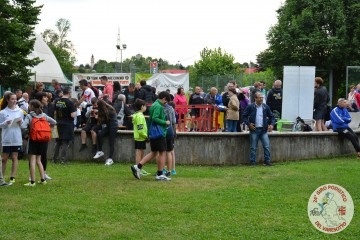 DSC_1252.jpg