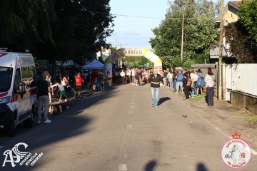 IMG_6940.jpg