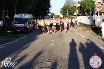 IMG_6964.jpg